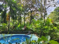 Common area/ pool area