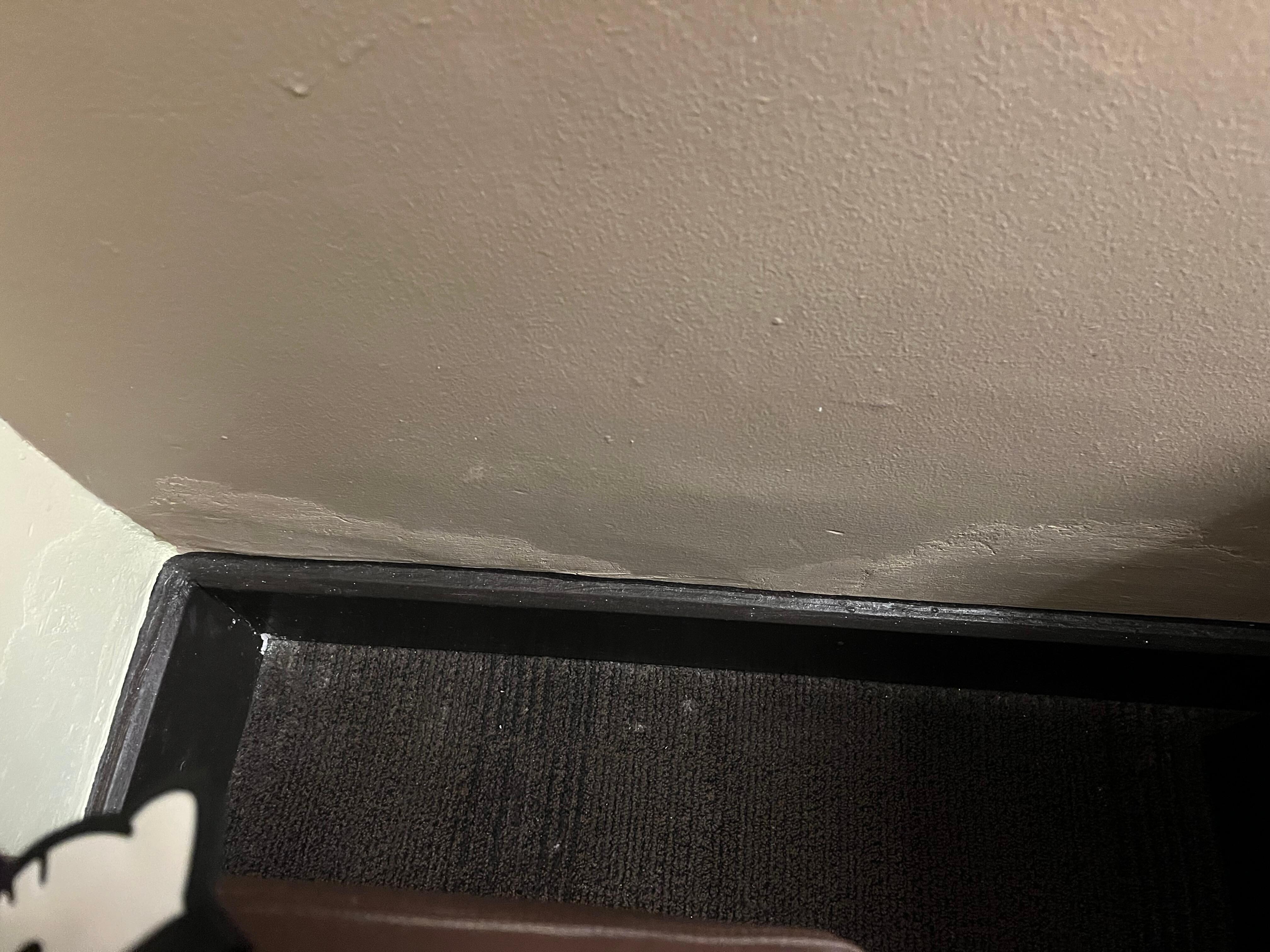 Mold inside the room