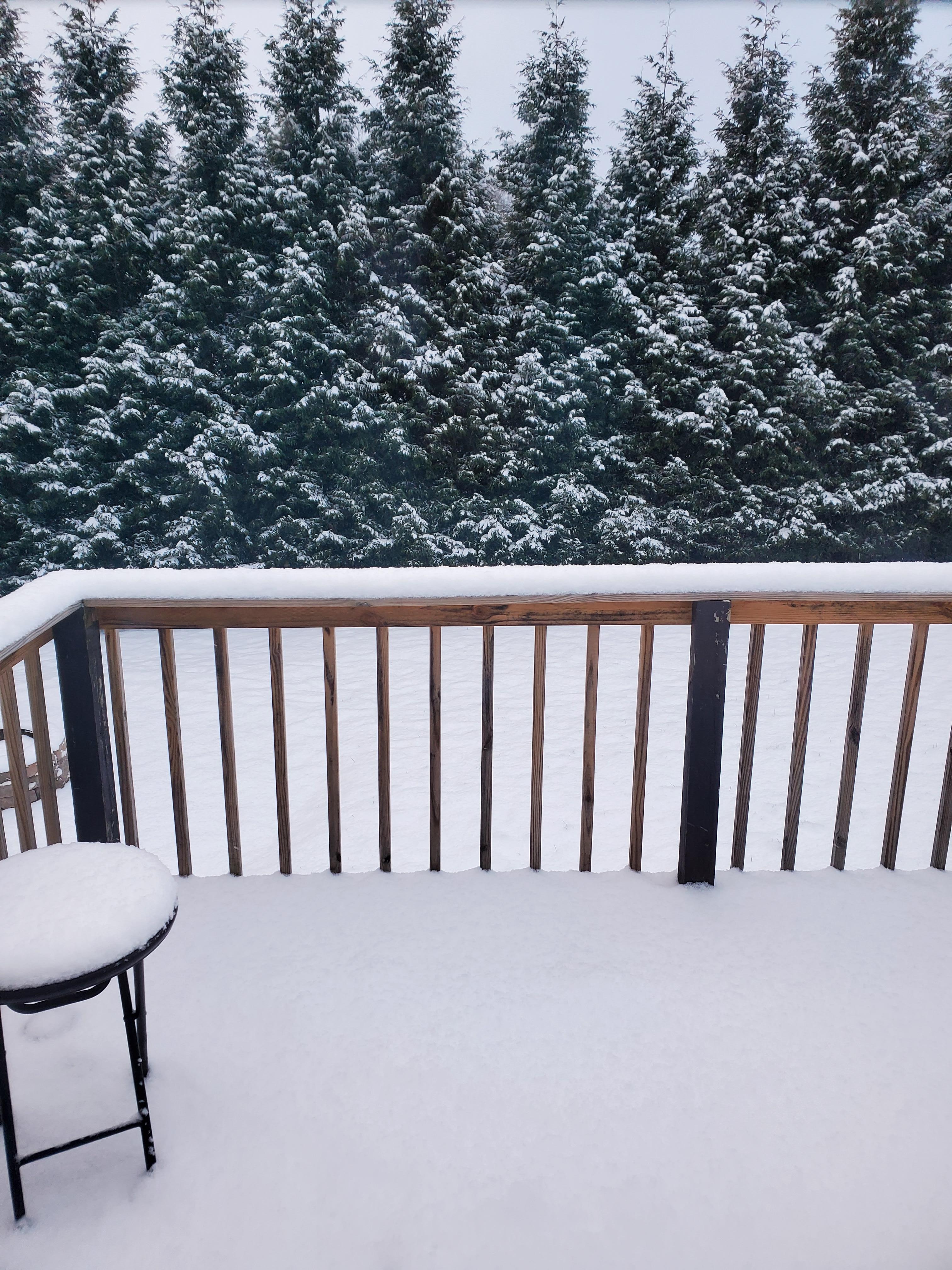 Scene in backyard when we left.