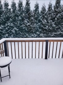 Scene in backyard when we left.