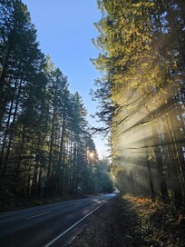 Even the drive along SR-119 was scenic