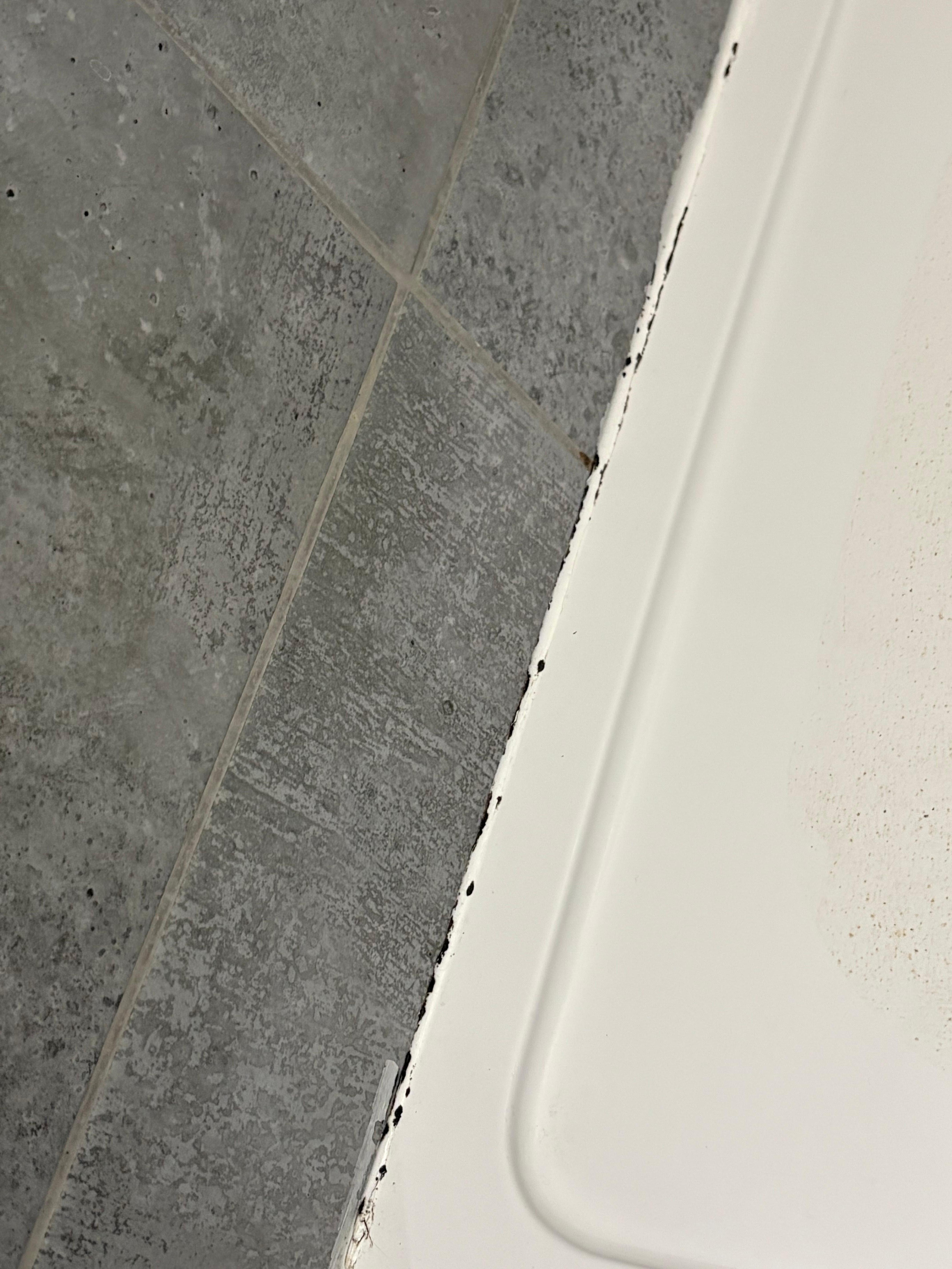 Mould in shower