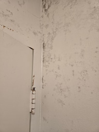 Black mold in bathroom