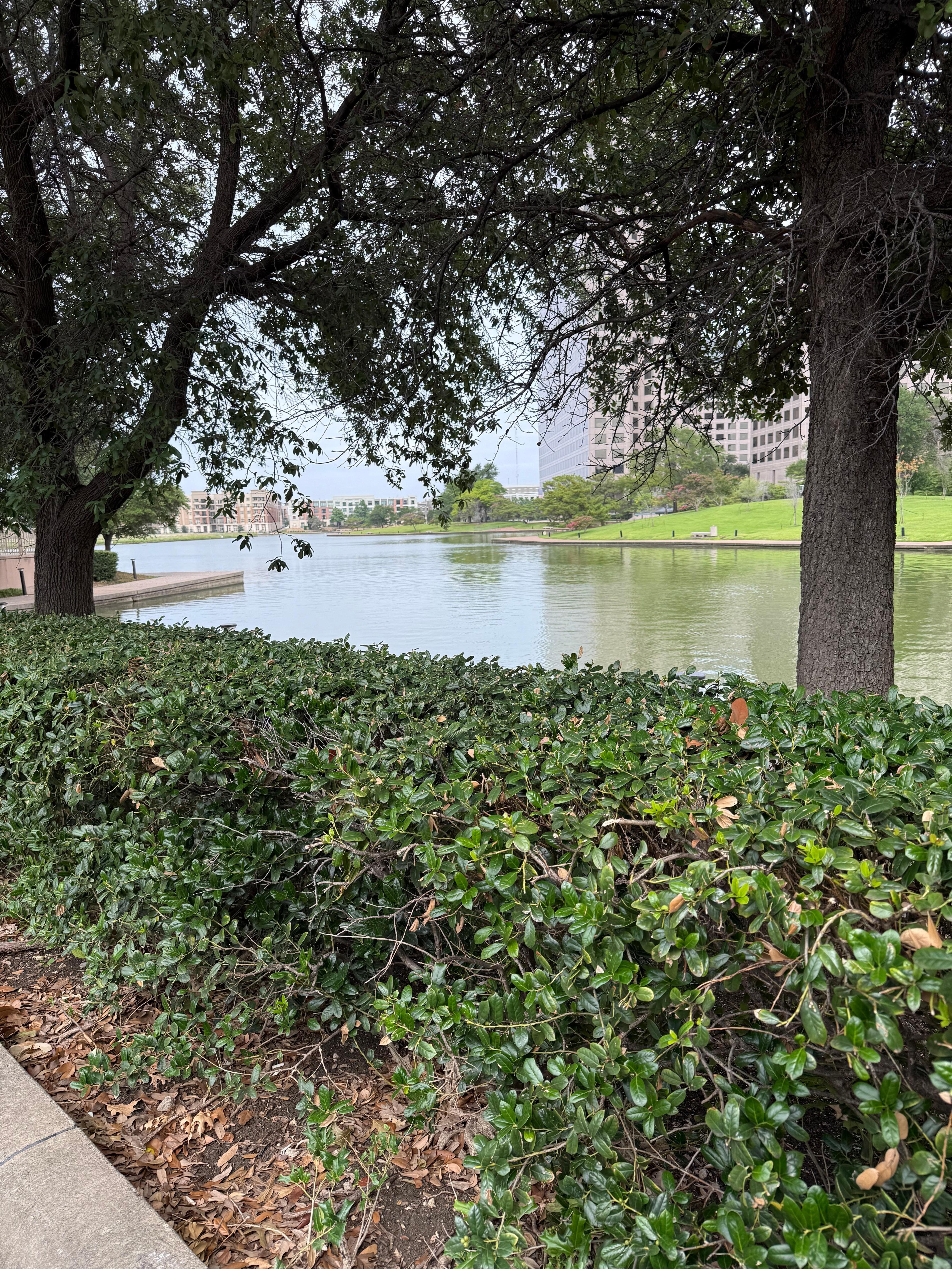 Lake view and walk way.