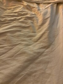 Bed was filthy. Both beds, I am just limited to 8 pictures…