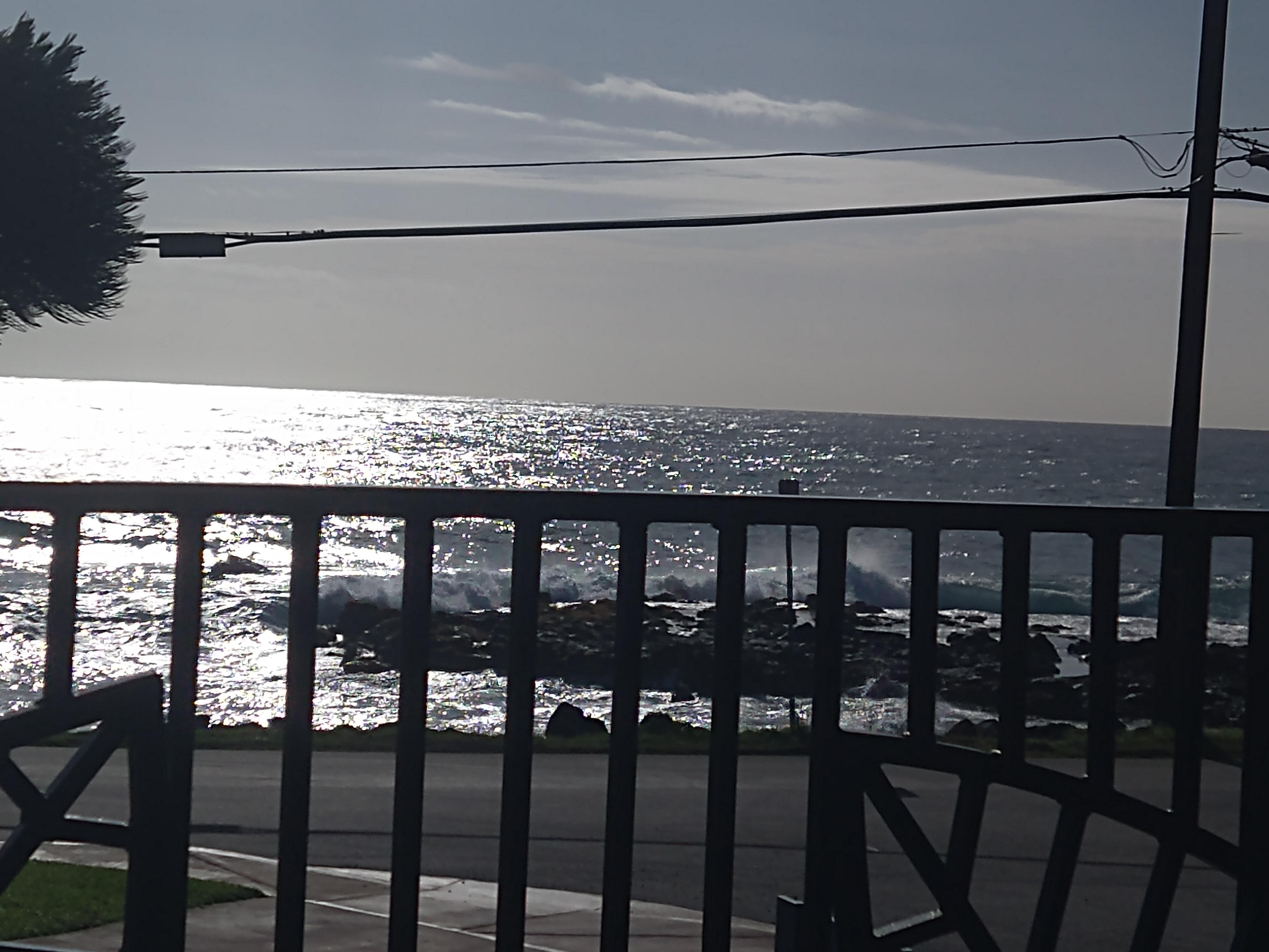 Whale watching from the pool was so cool 