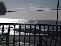 Whale watching from the pool was so cool