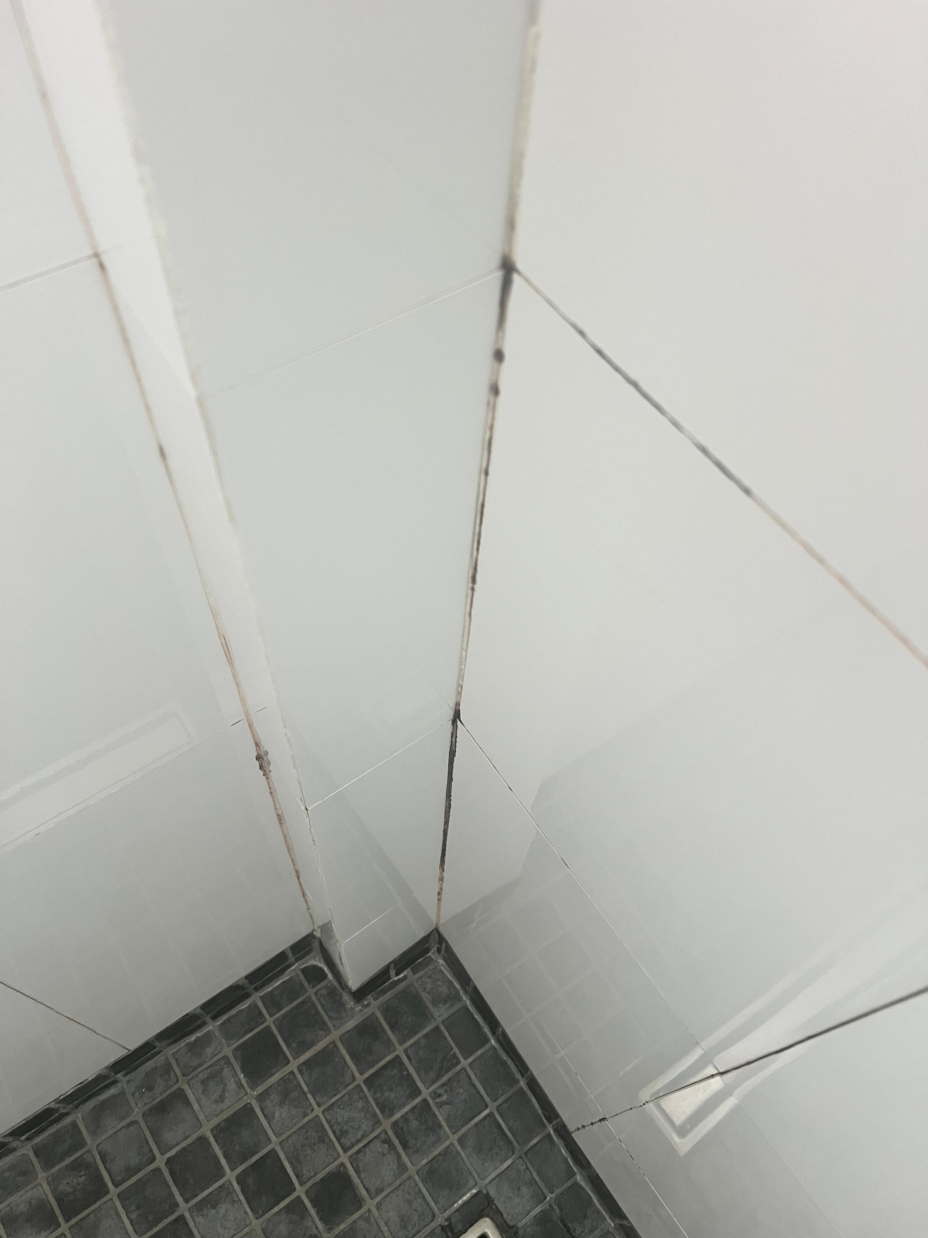 Joint de sale de bain 