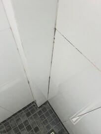 Joint de sale de bain