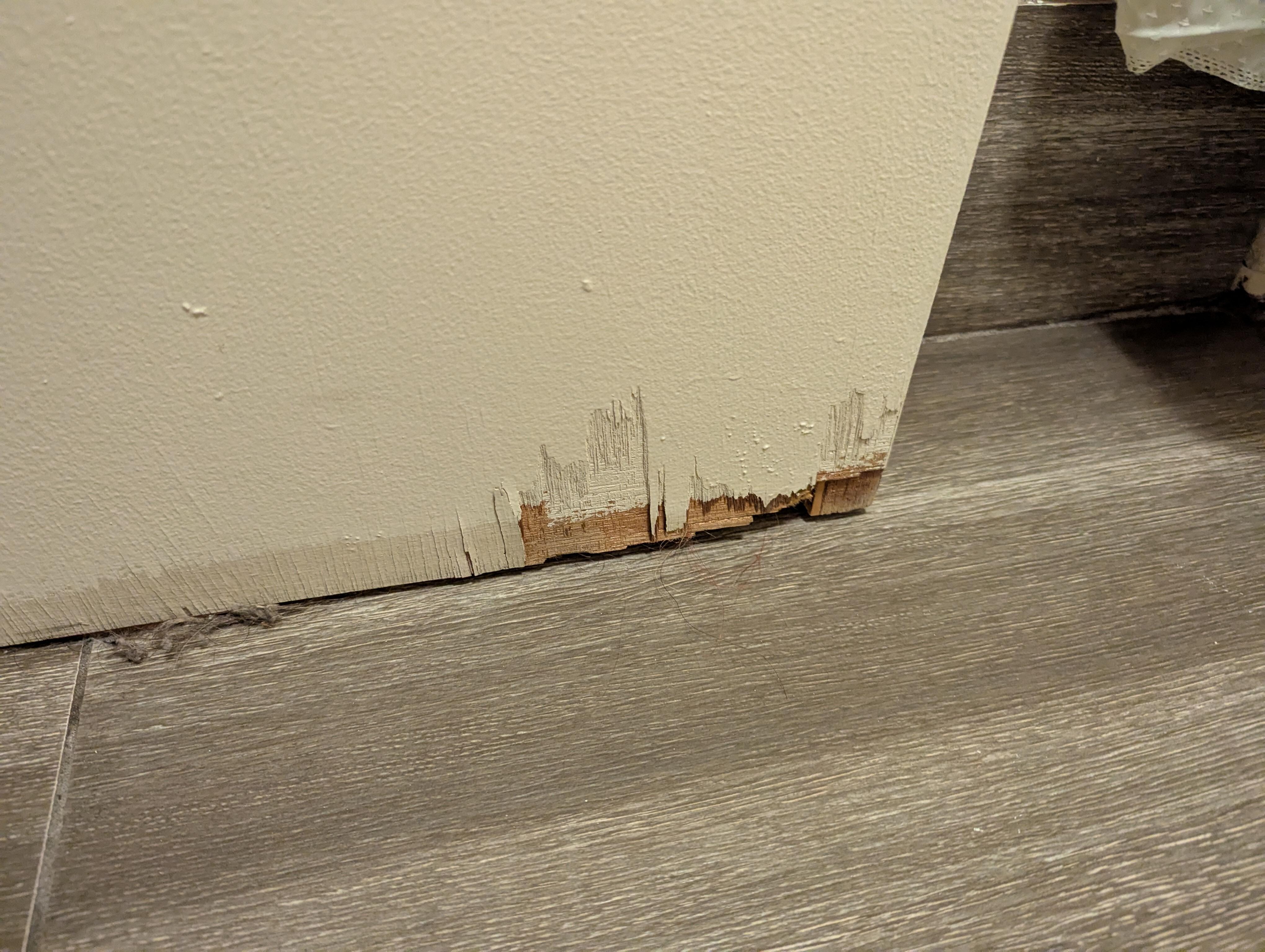 Bathroom door was destroyed on the bottom