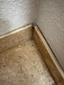 Corner floor in bathroom