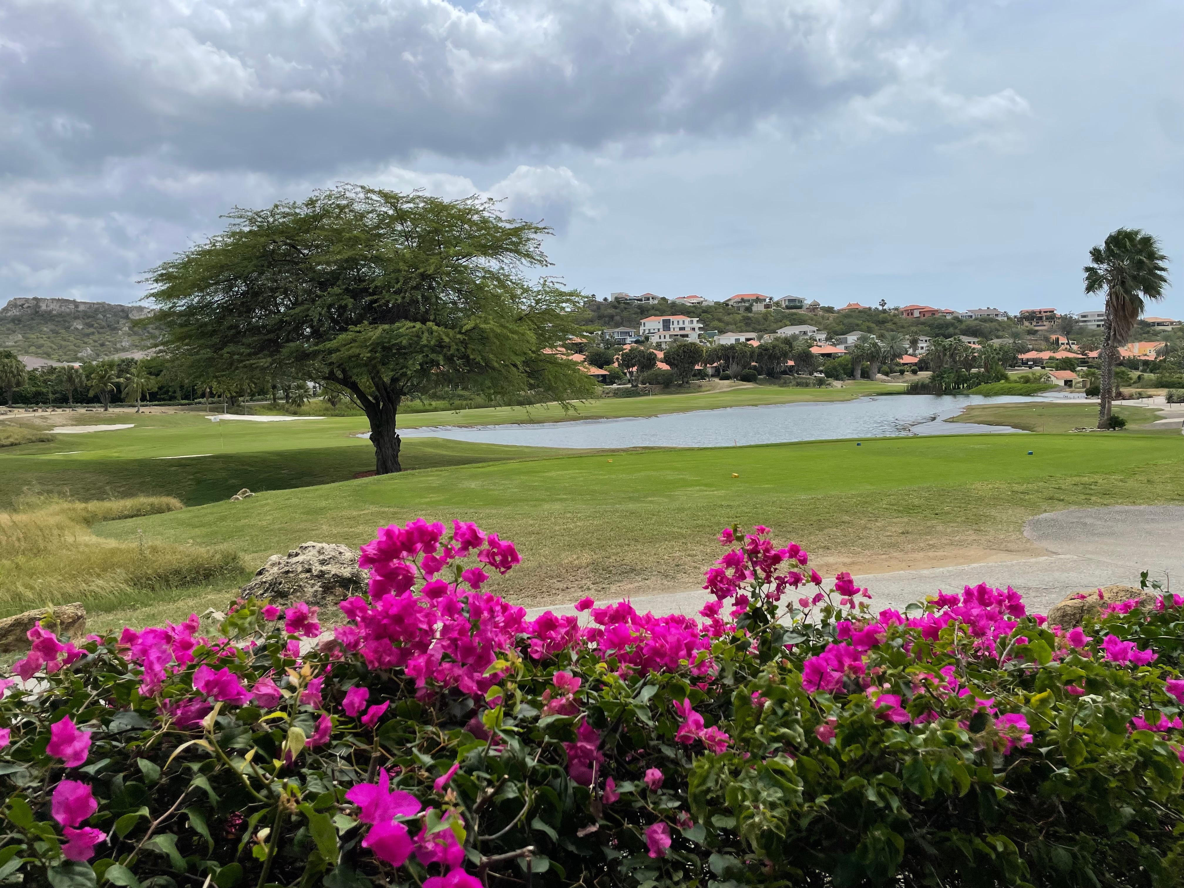 View at the golf course