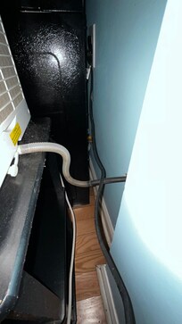 Improperly installed and moldy condensate line