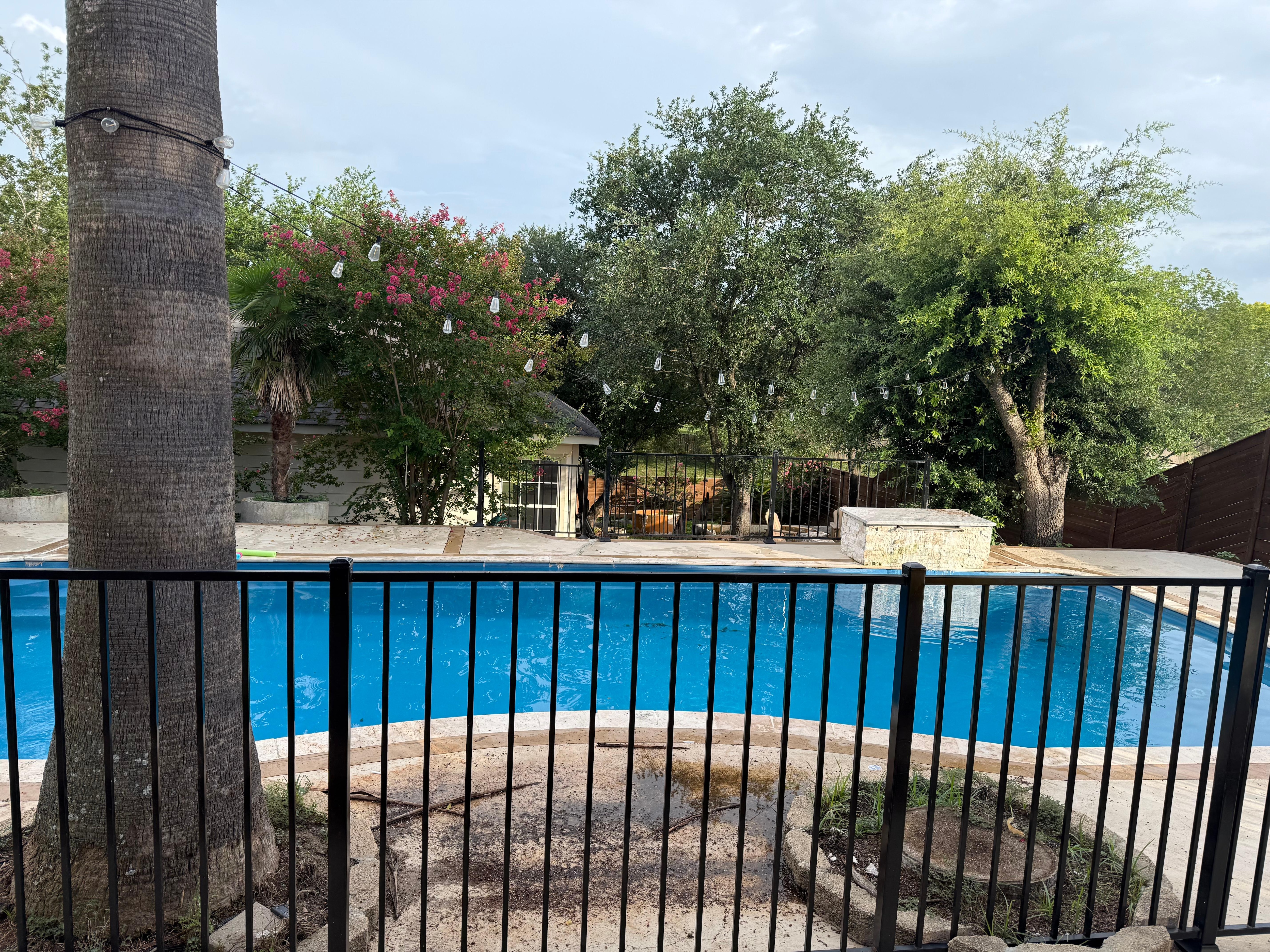 Taken from the back porch. 