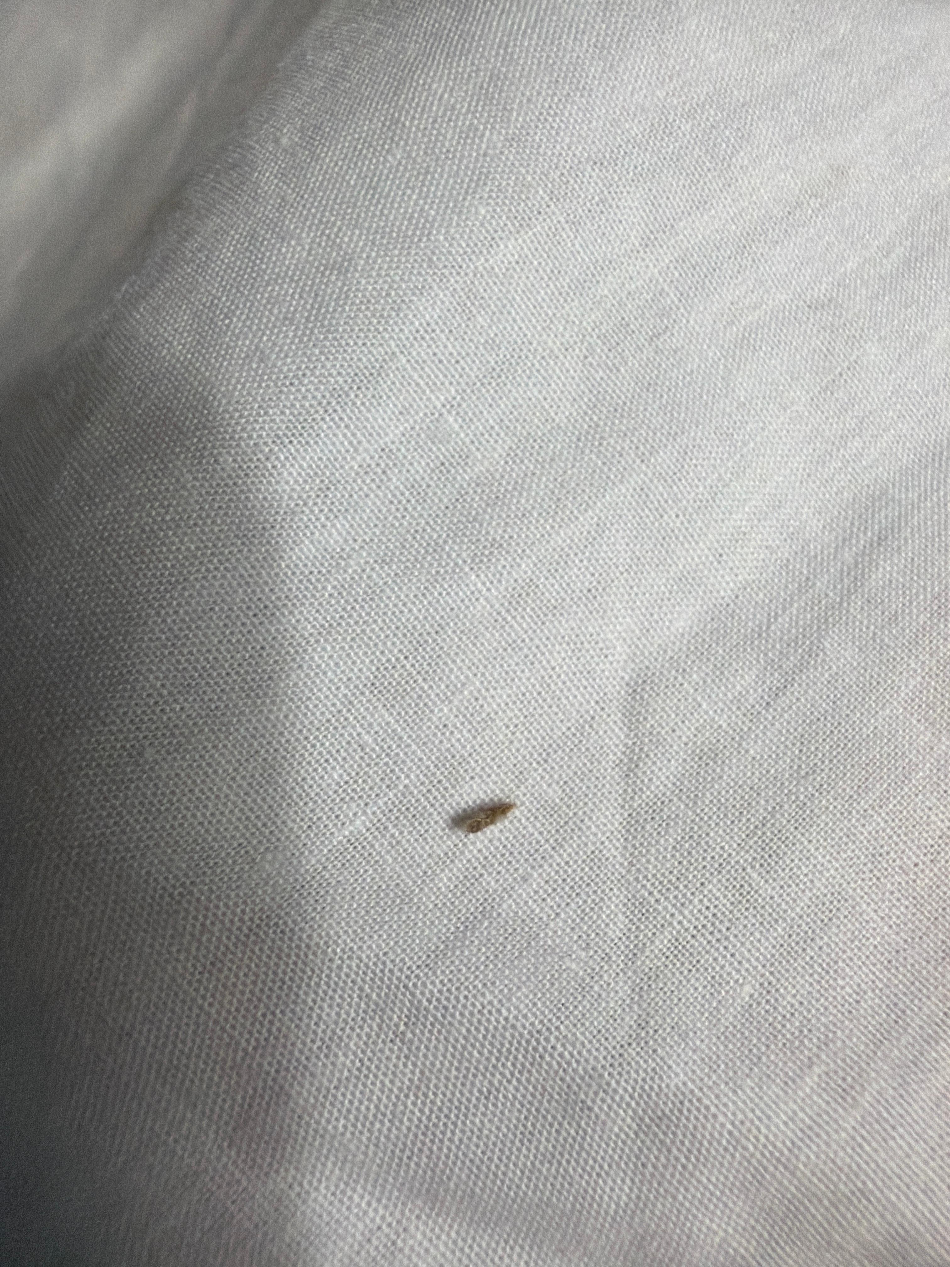 Specs of something on mattress & sheets 