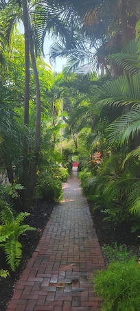 Walkway to all of the cottages
