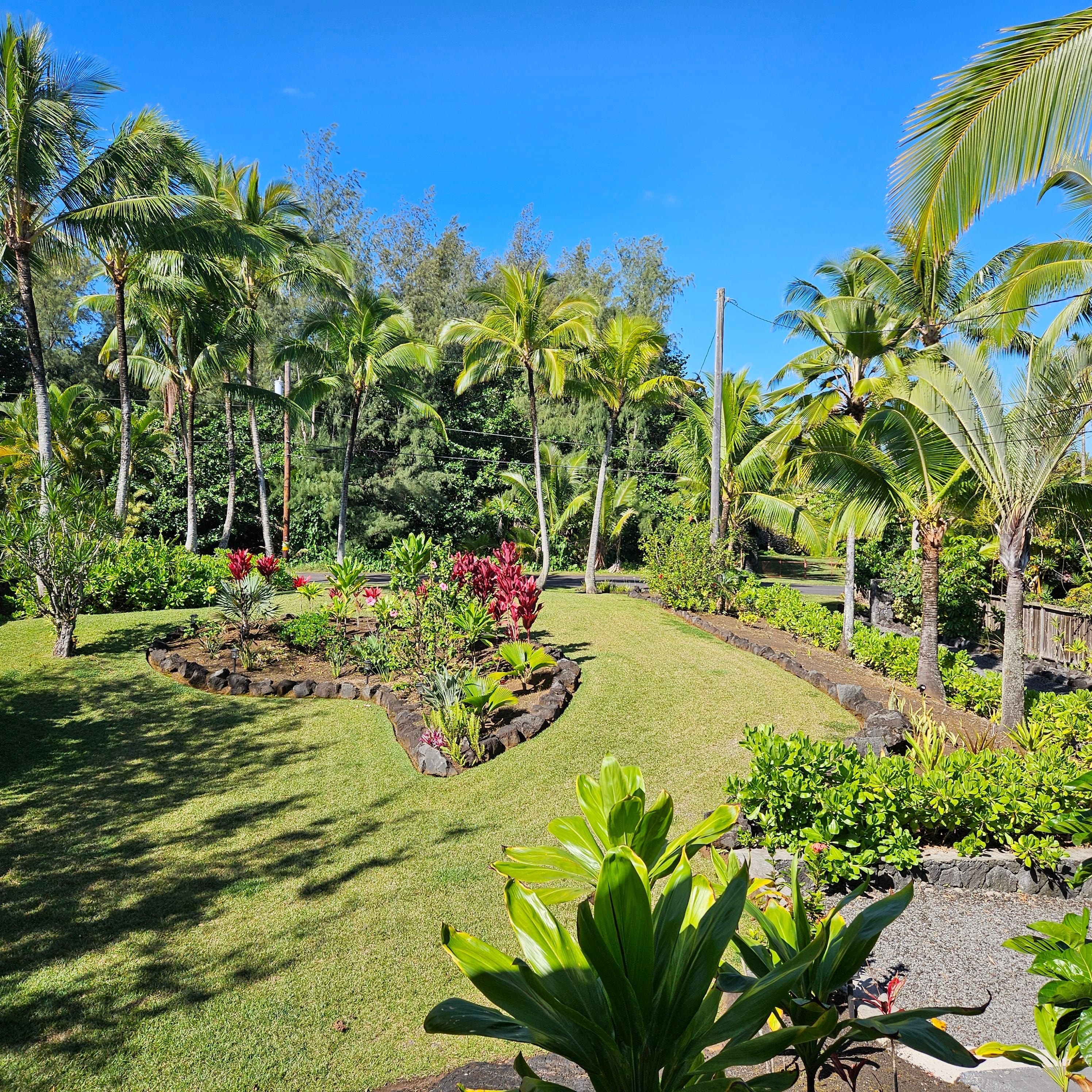 Grounds in front of the house.