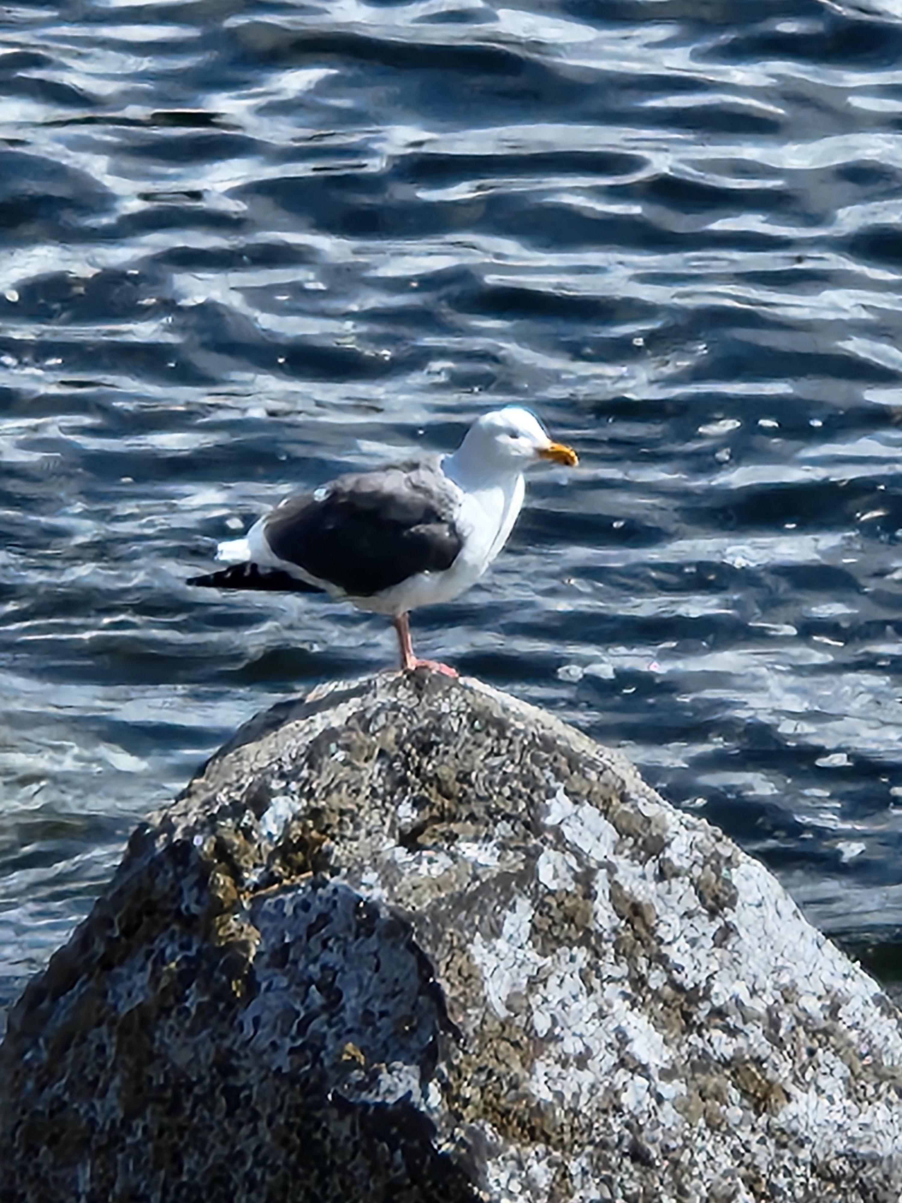 Down the beach from Rockaway