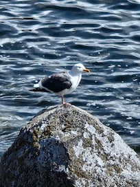Down the beach from Rockaway