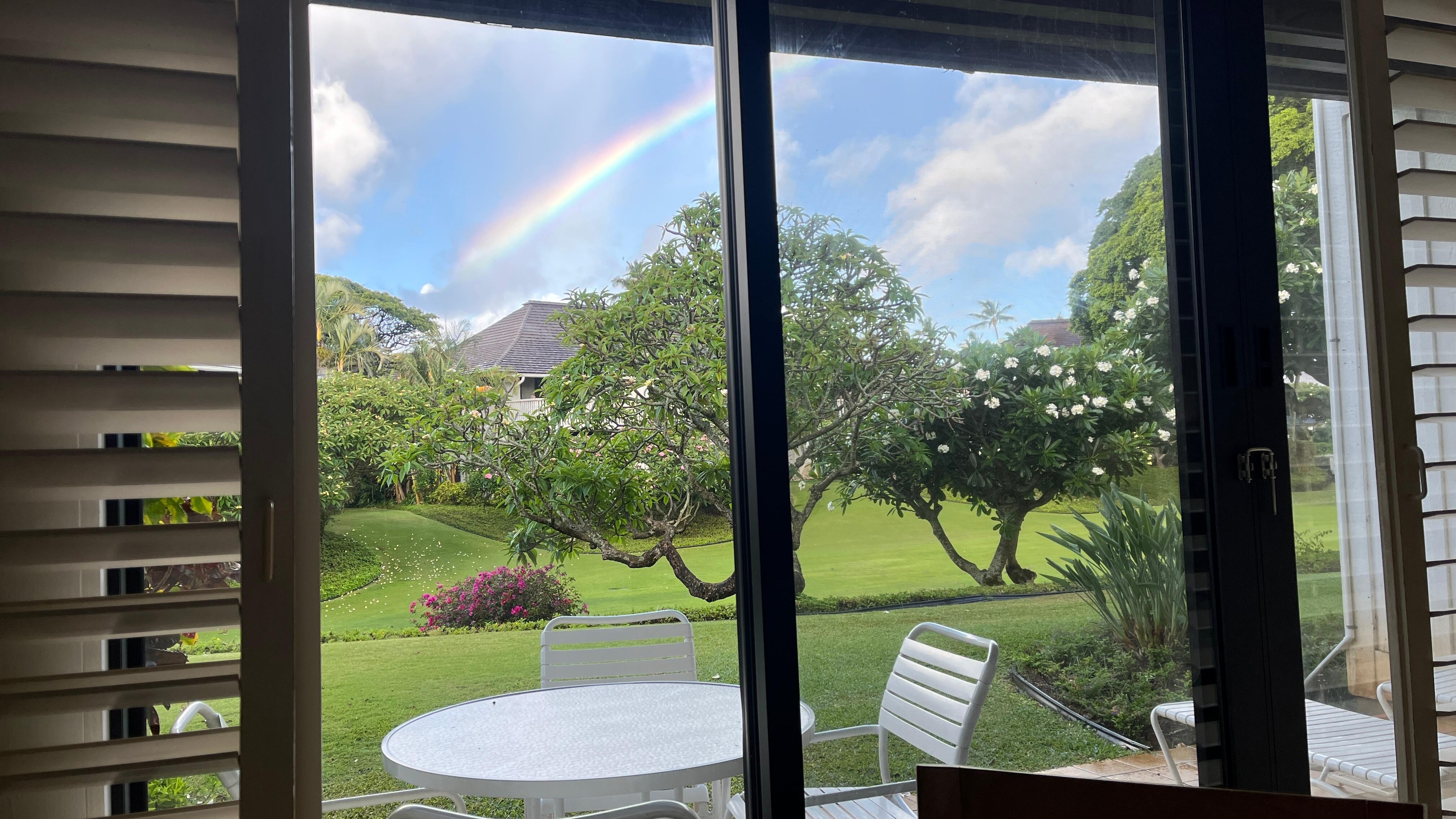  View out the back door of condo while eating at the kitchen table. 
