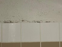 moisissure dans la salle de bain