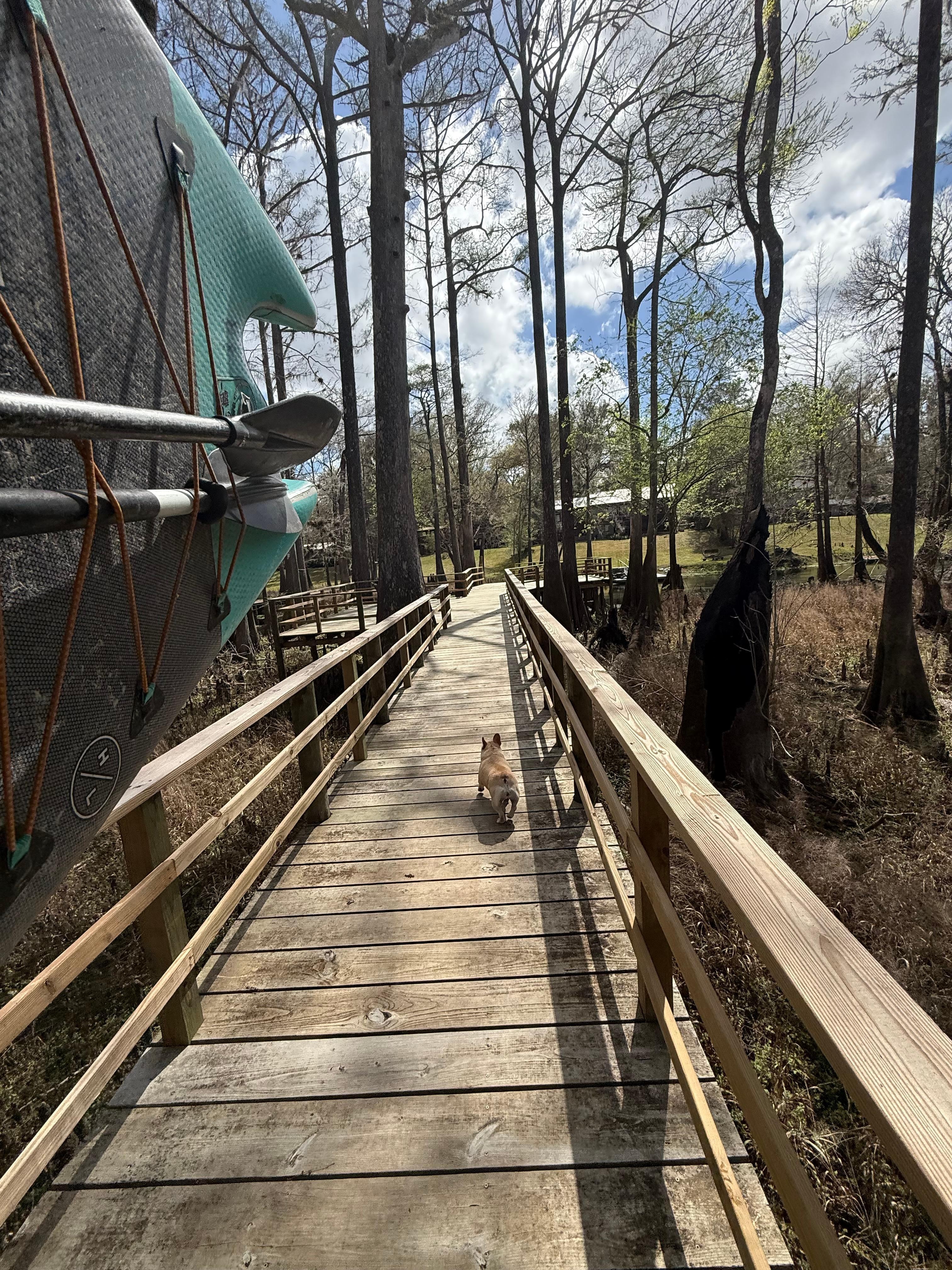 Our morning walk to the dock.
