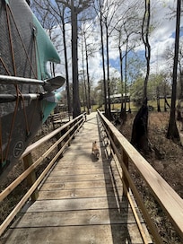 Our morning walk to the dock.