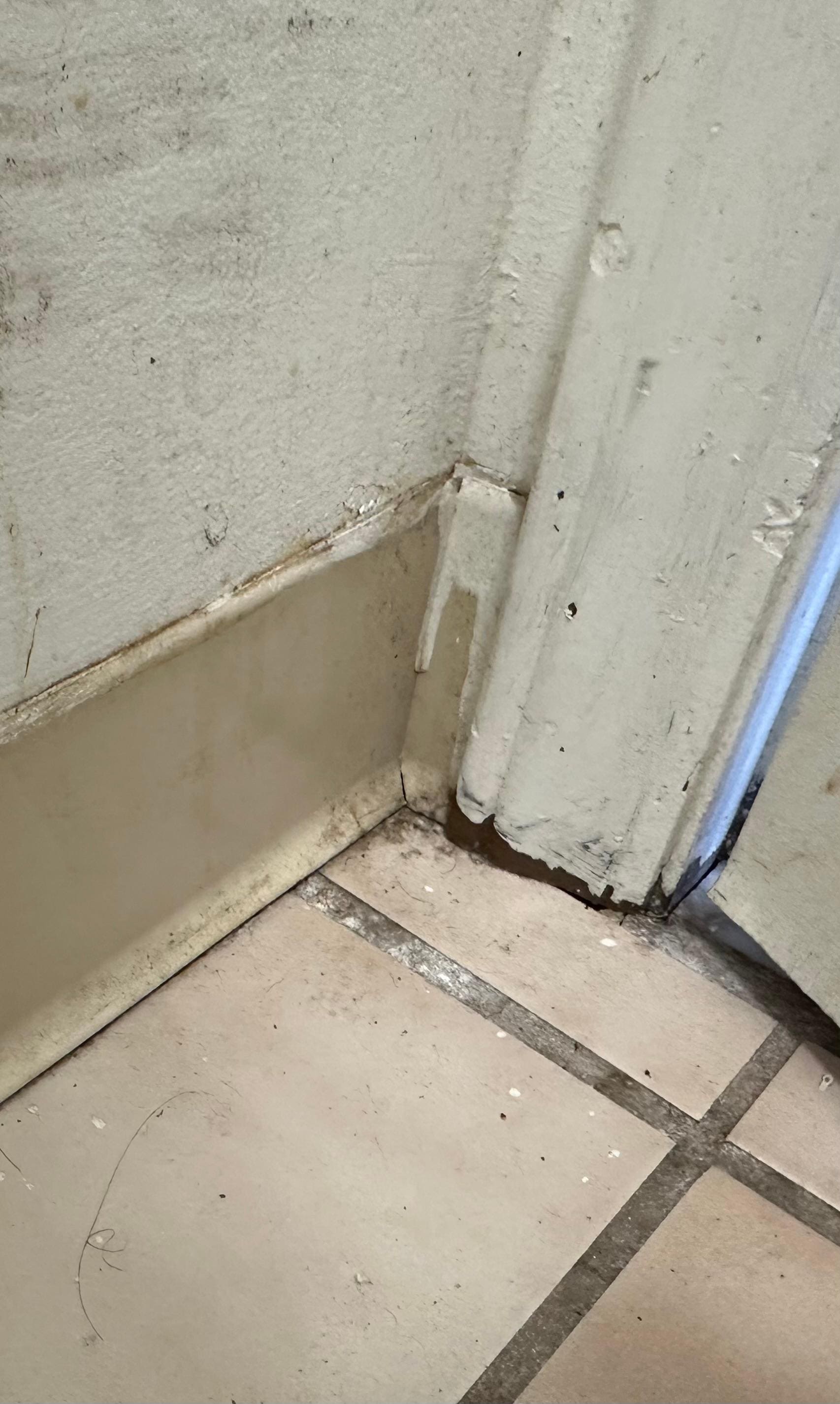 Build up dirt and hair aound floor and corners