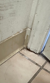 Build up dirt and hair aound floor and corners