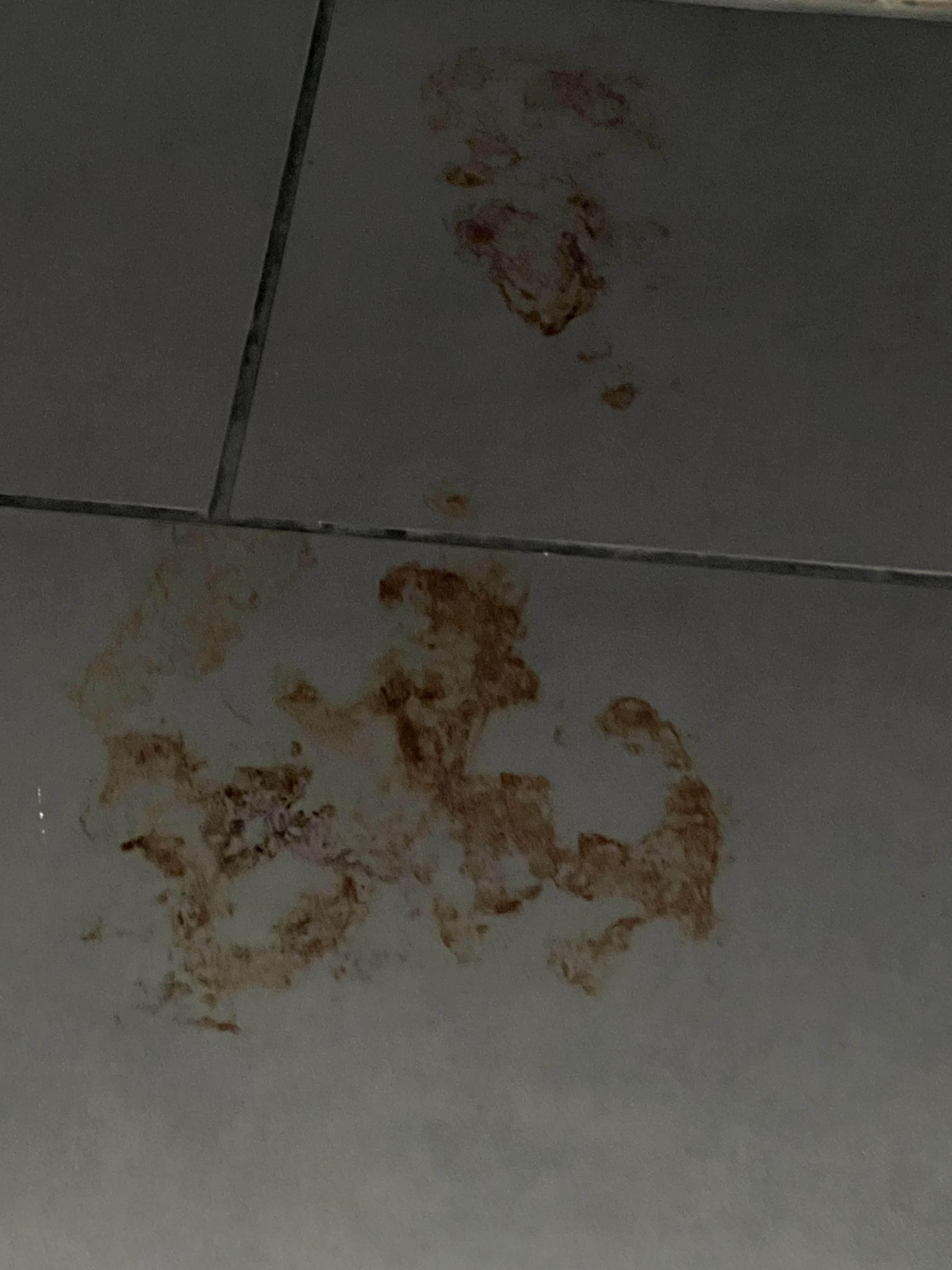 Looks to be dried blood