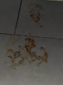 Looks to be dried blood