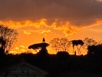 From patio view of Janiculum Hill