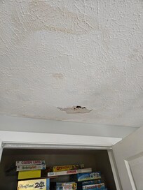Hole in the ceiling, that the owner didn't think was a big deal