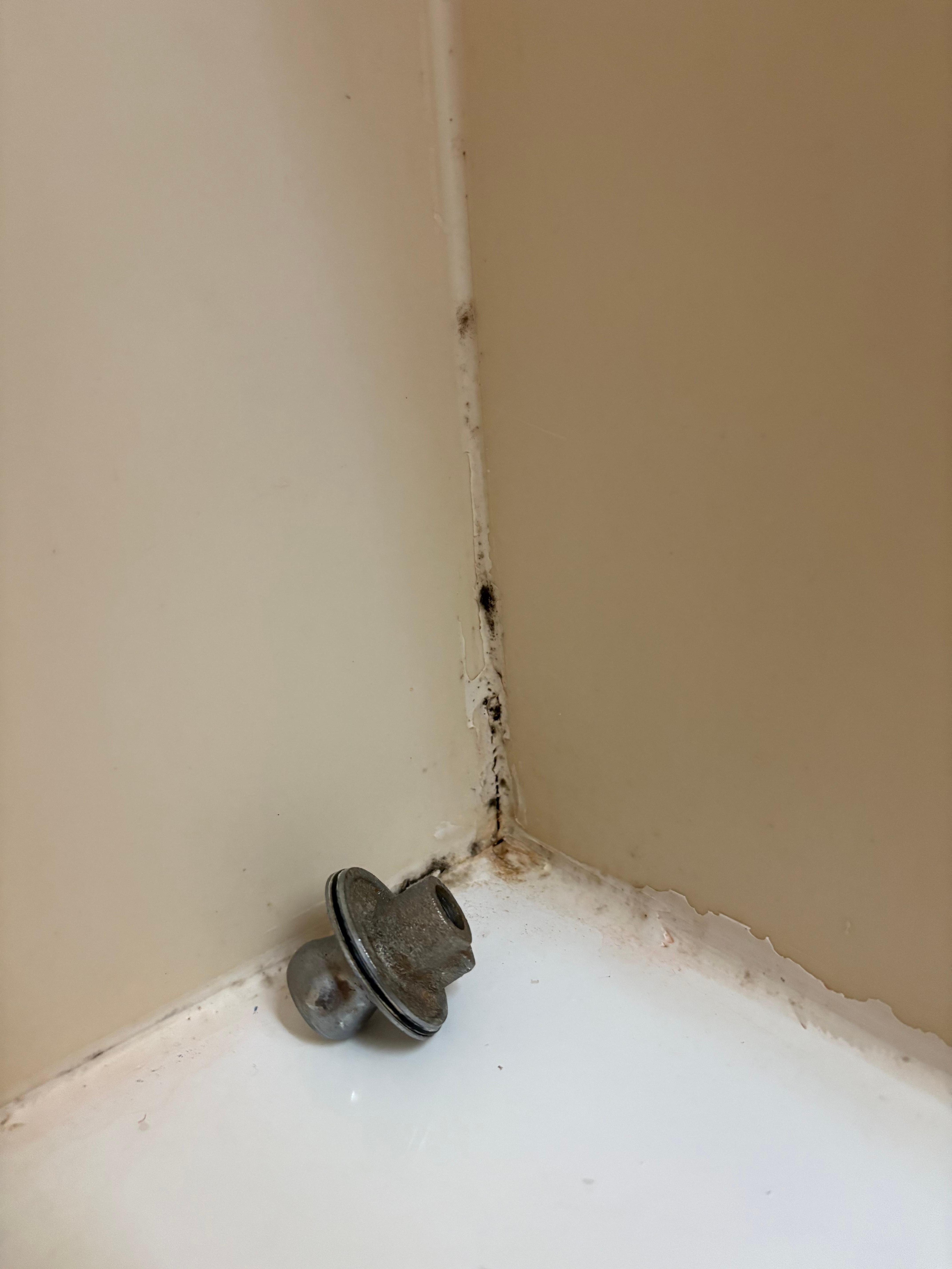 Mold in bathroom
