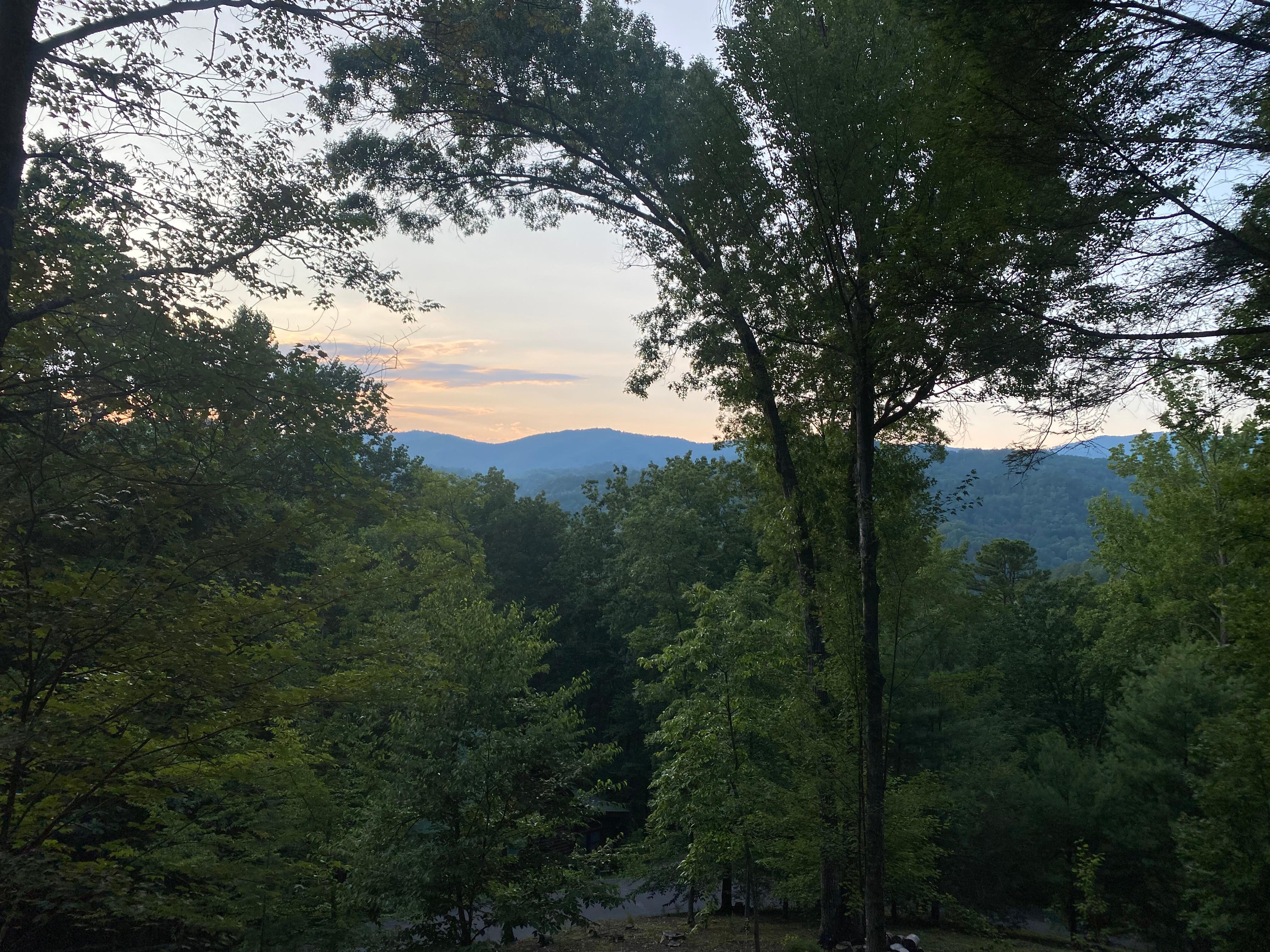 View from the living room