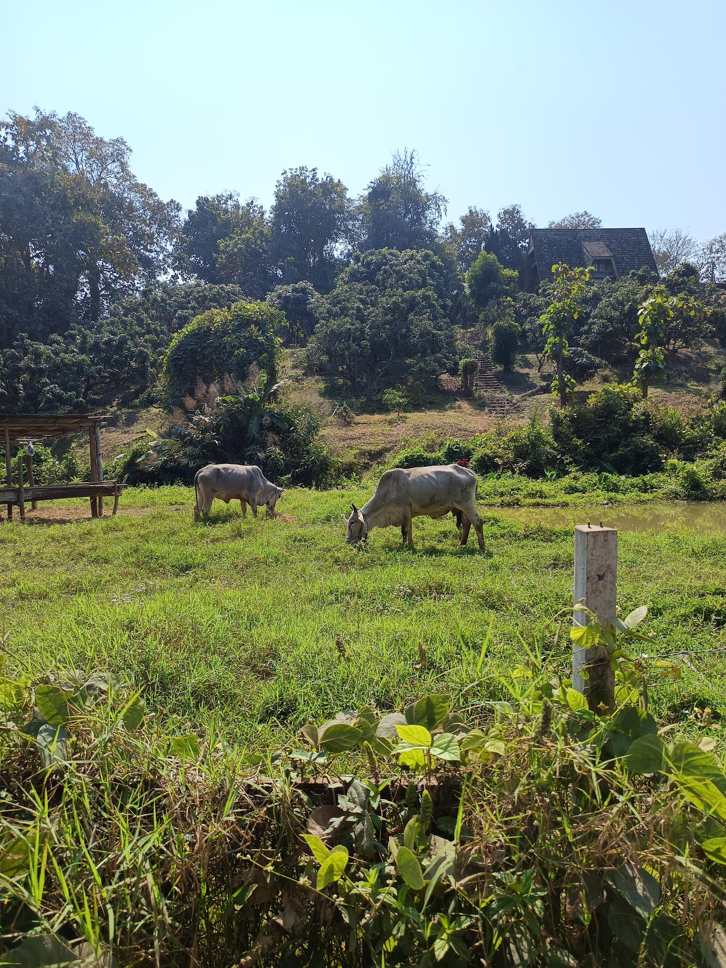 Paysage magnifique, ballade en scooter 