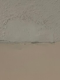Ceiling falling apart and mold growing all around the wet areas