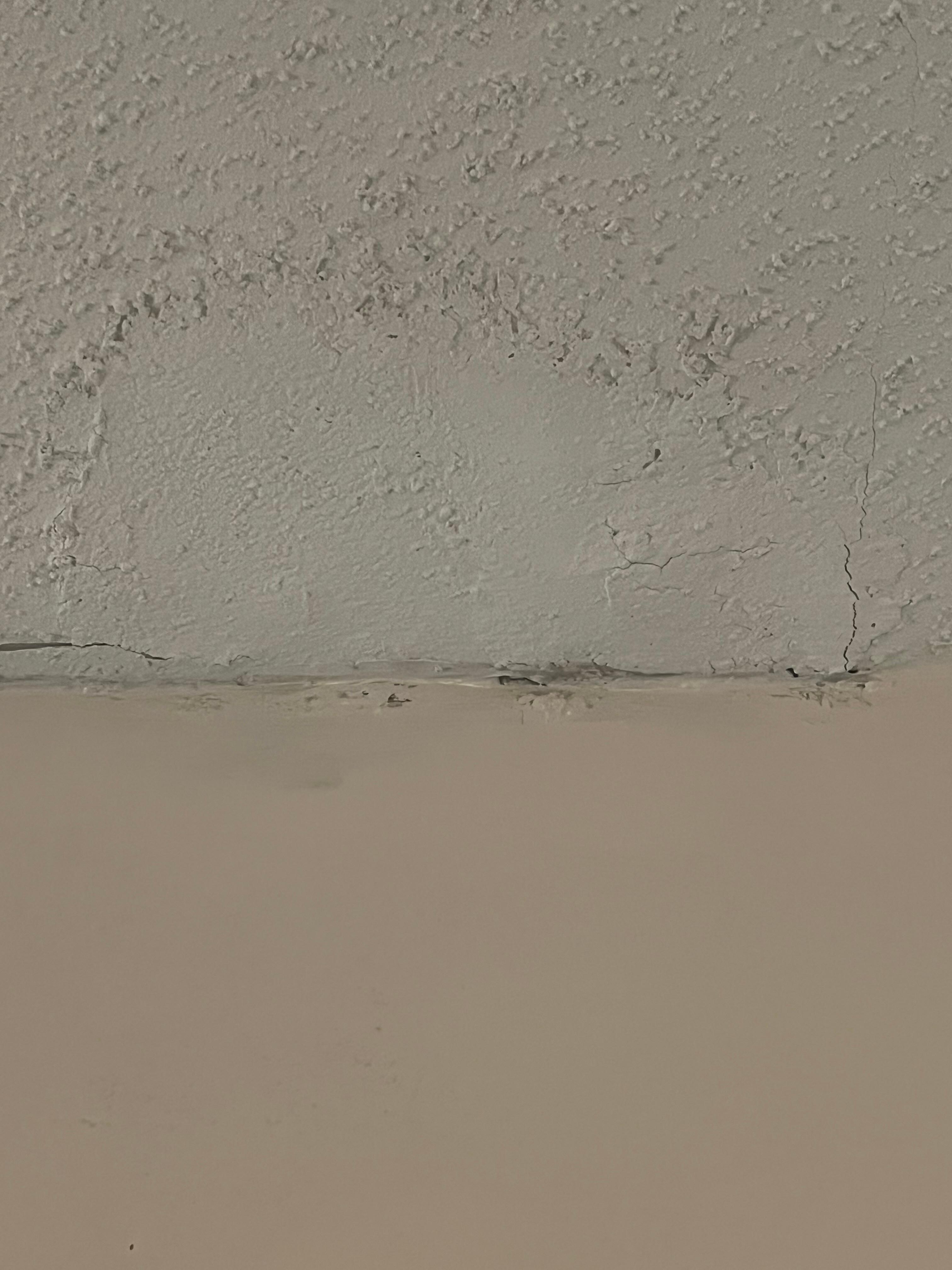 Ceiling falling apart and mold growing all around the wet areas