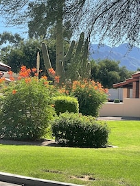 View from our casita’s outdoor patio.