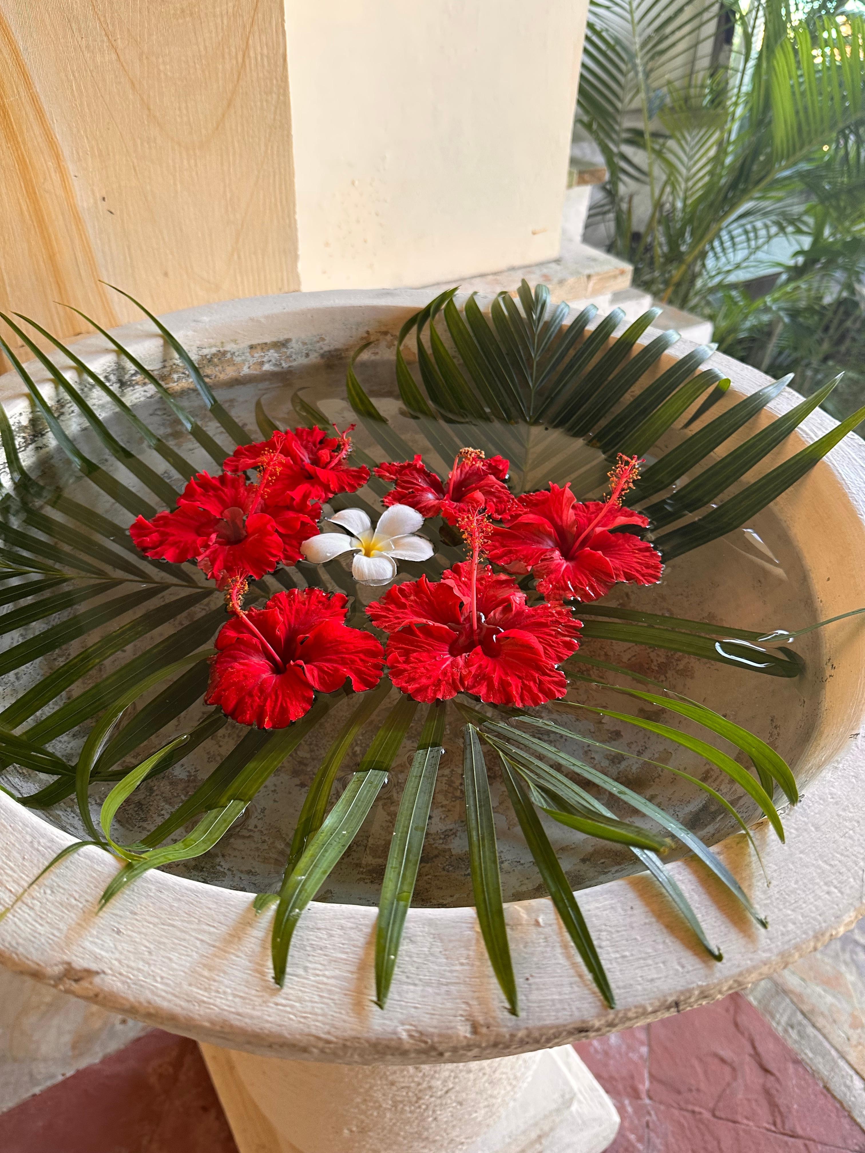 In front of the spa 