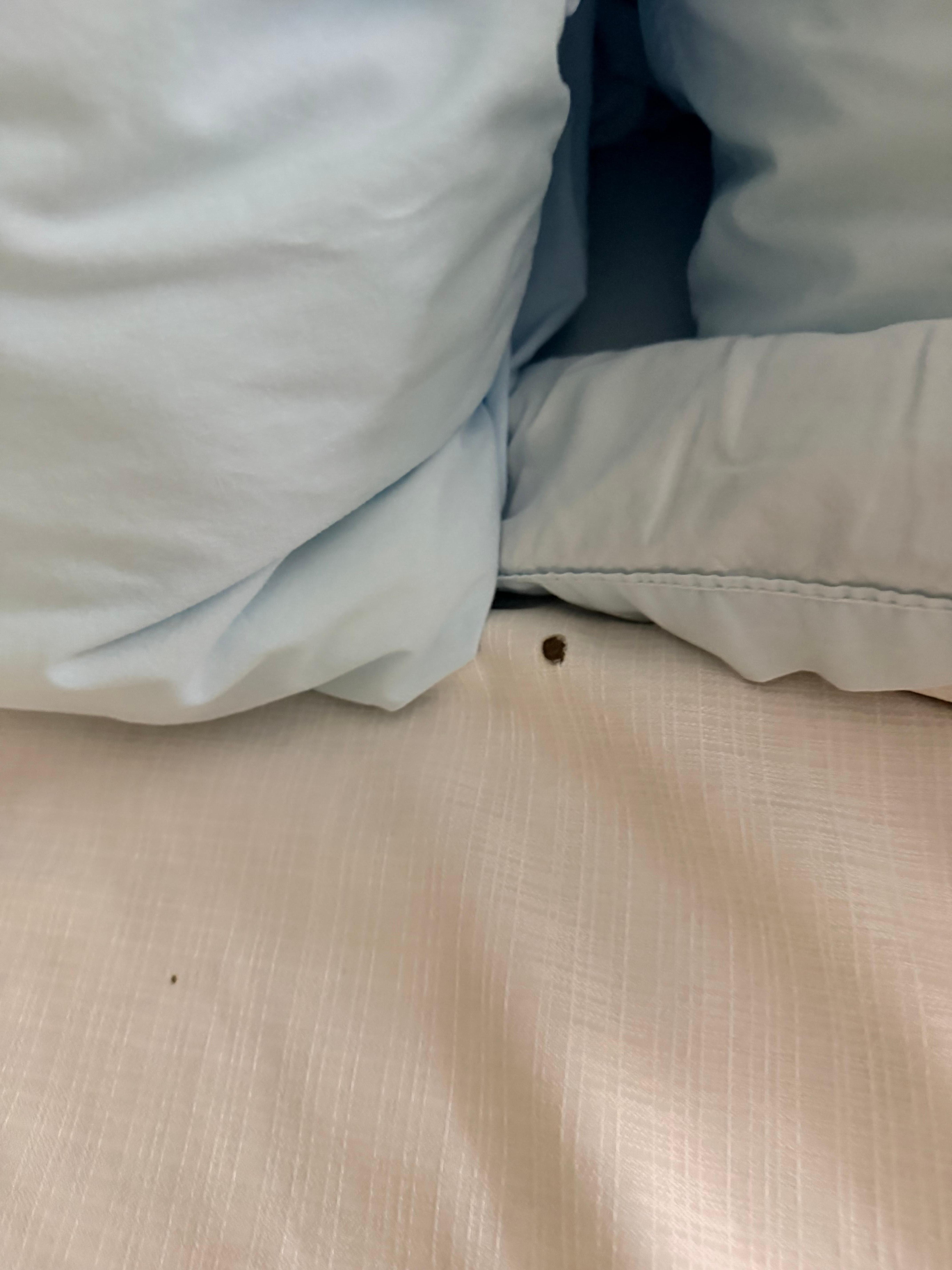 I’m assuming these are burns on the comforter 