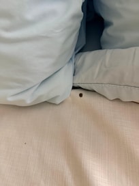 I’m assuming these are burns on the comforter