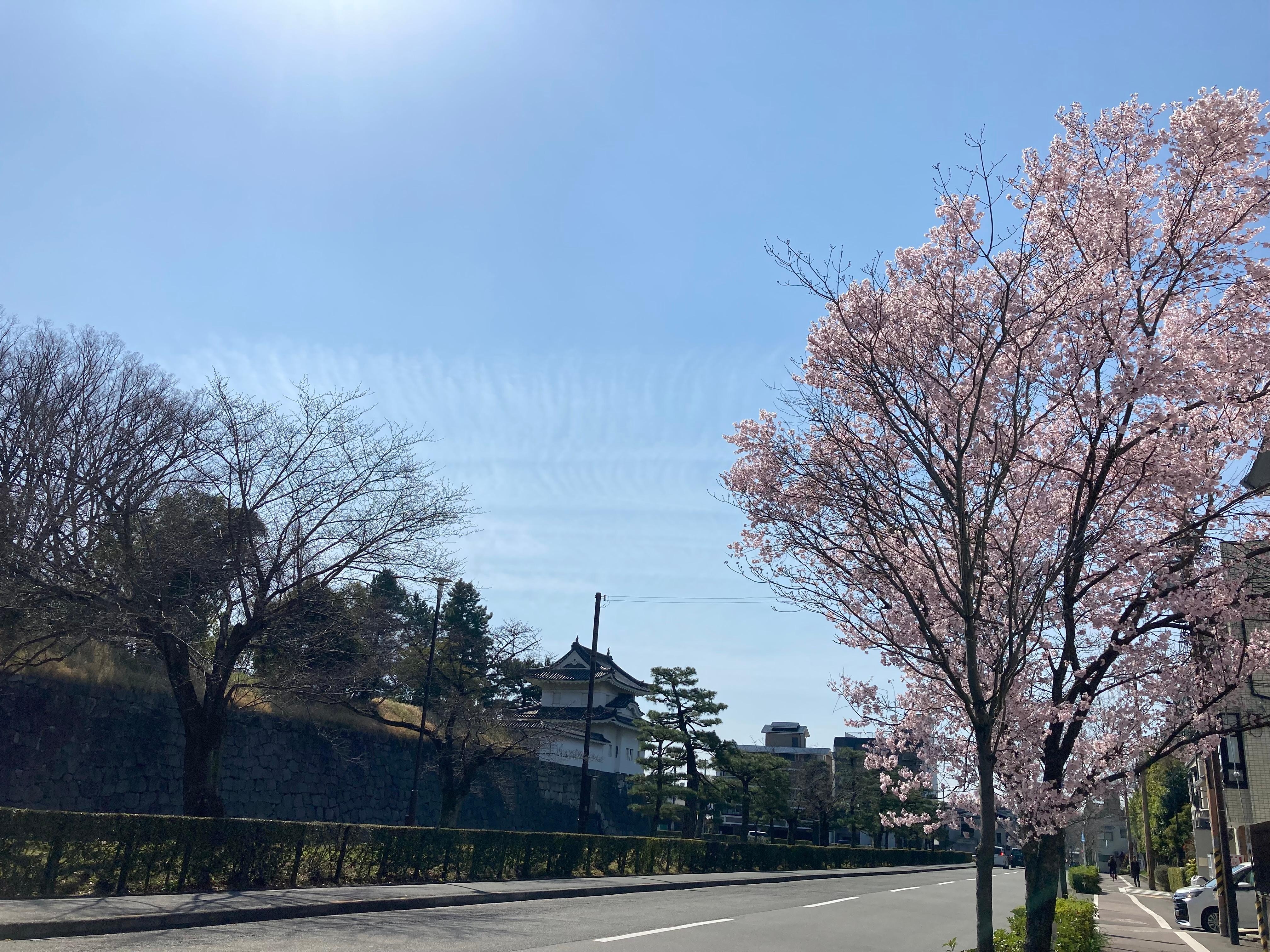 行去JR 站途經二條城外