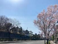 行去JR 站途經二條城外