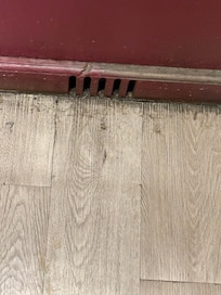 Elevator floors were nasty