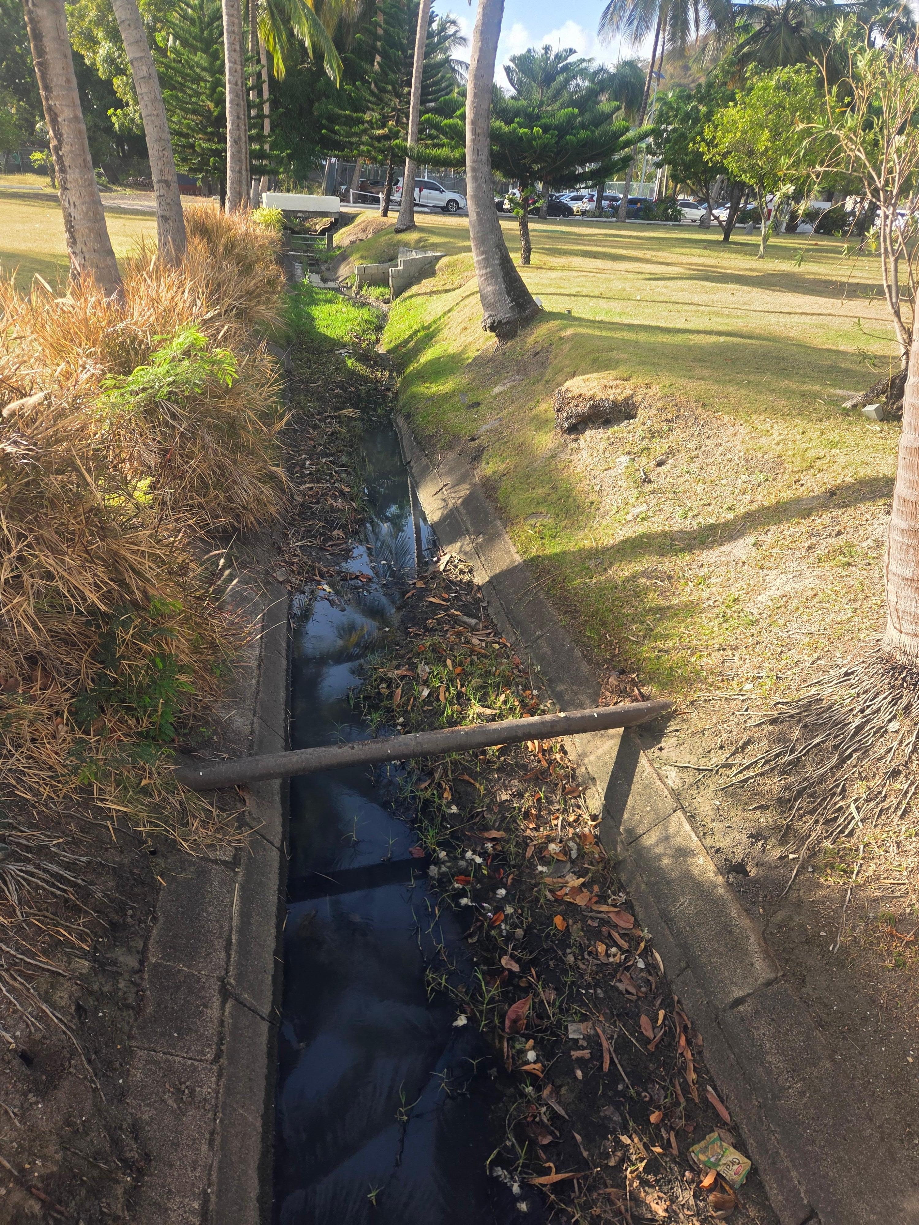 between the guest room buildings that supposedly overlook a garden—is an open sewage channel. You are forced to walk right over it every time you head to the dining area or the pool, and it emits an unbearable stench. The saddest and most deplorable 