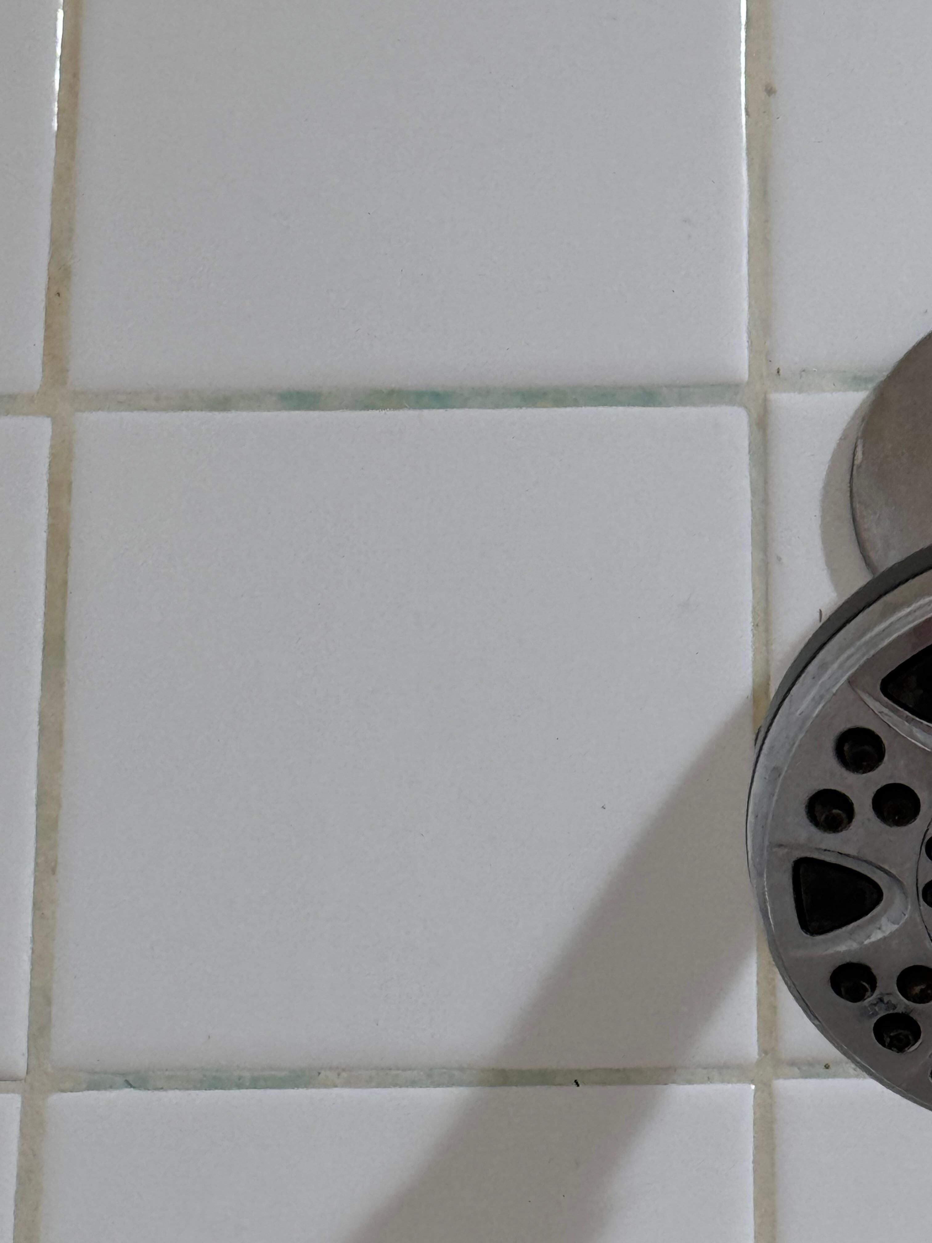 Mold on grout