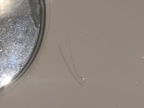 Hairs in shower