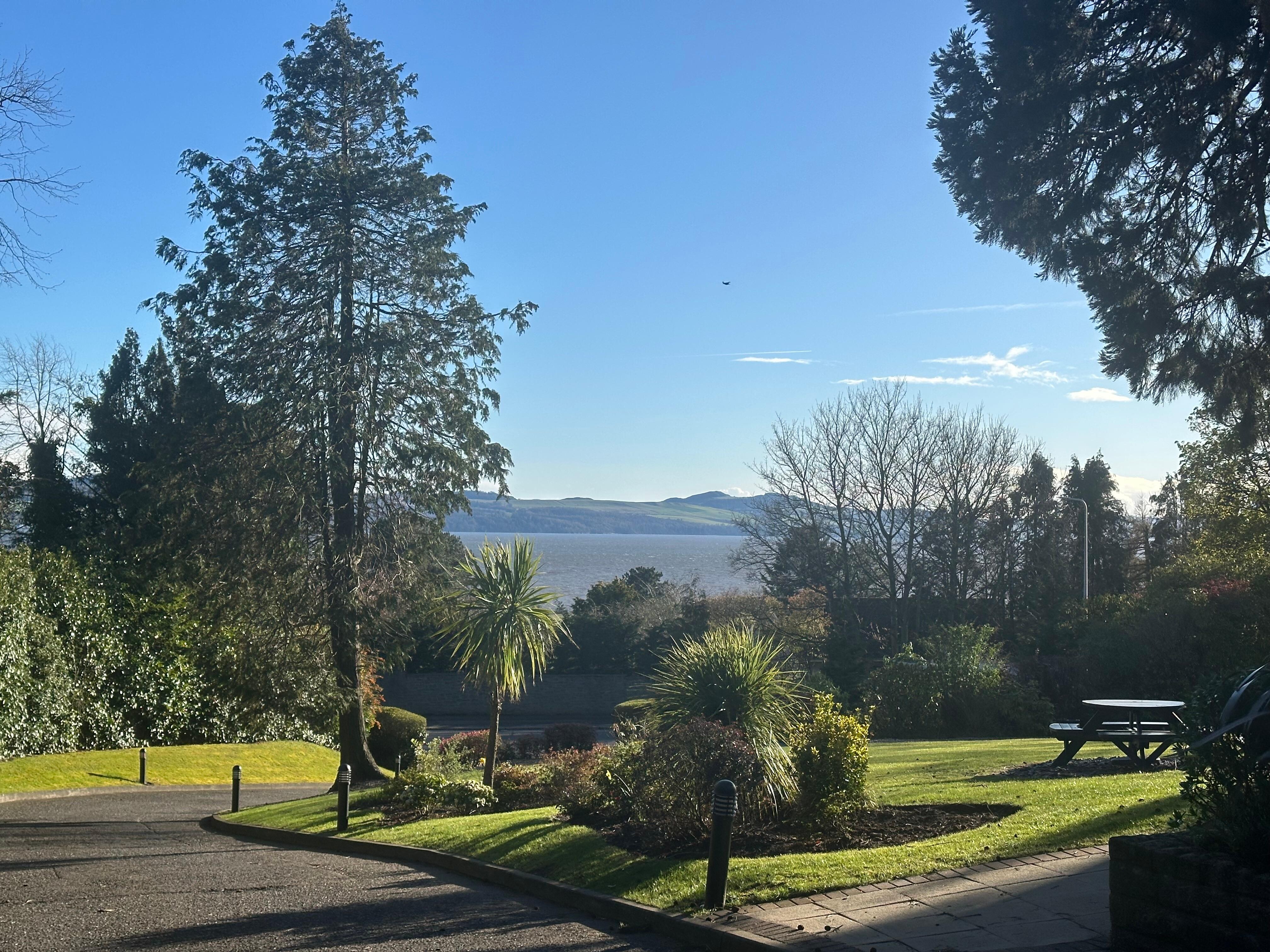 View from the front garden