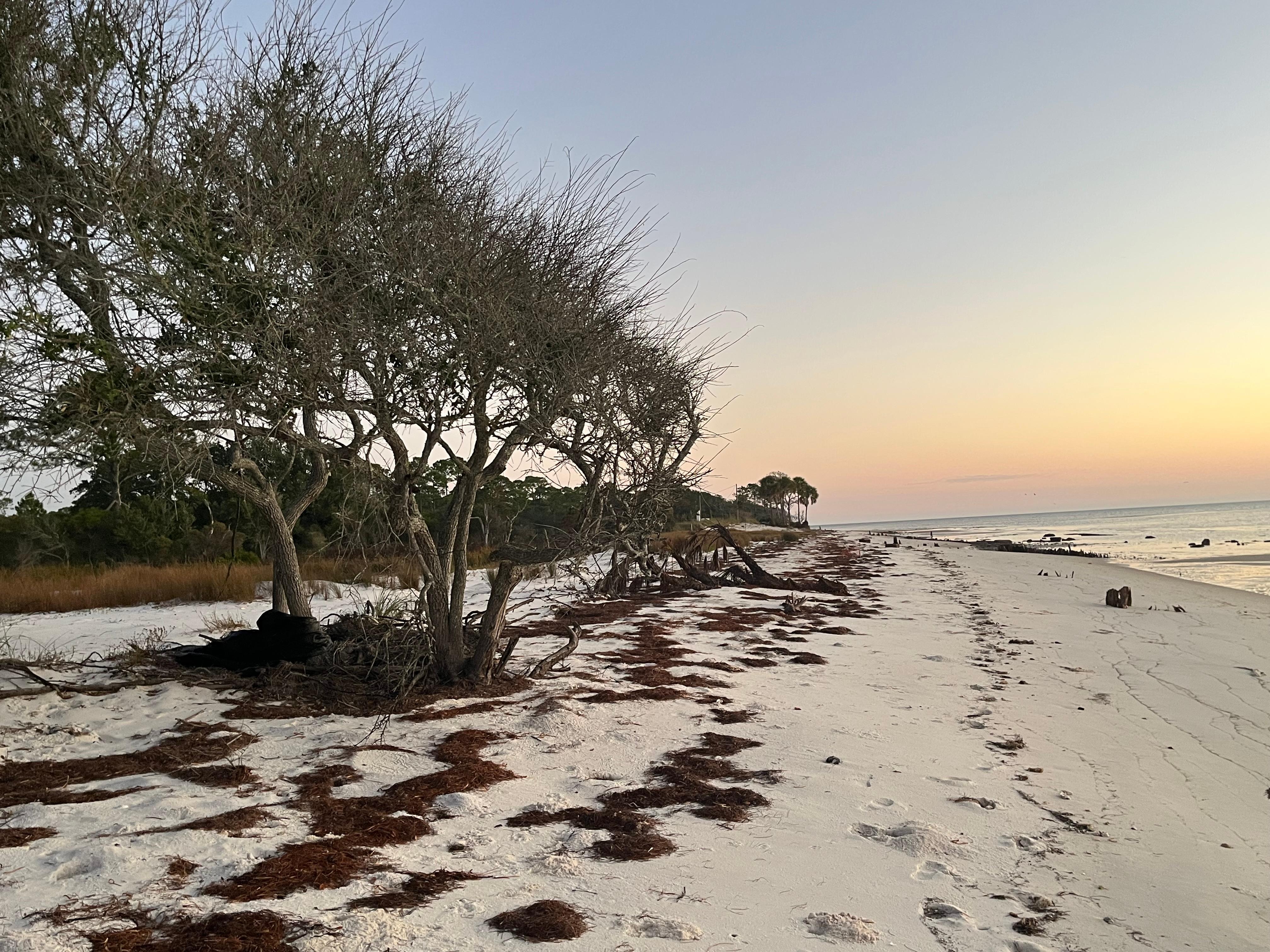 Natures coast old Florida type beaches